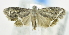  ( - USNM ENT 00738226)  @12 [ ] Unspecified (default): All Rights Reserved  Unspecified Unspecified