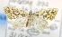  (Parachaetolopha sp. ACL4036 - USNM ENT 00738267)  @13 [ ] Unspecified (default): All Rights Reserved  Unspecified Unspecified