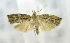  ( - USNM ENT 00739075)  @12 [ ] Unspecified (default): All Rights Reserved  Unspecified Unspecified