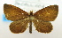  ( - USNM ENT 00739127)  @13 [ ] Unspecified (default): All Rights Reserved  Unspecified Unspecified