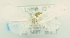  (ErebidaeGEN sp. ACM4197 - USNM ENT 00739265)  @12 [ ] Unspecified (default): All Rights Reserved  Unspecified Unspecified