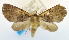  ( - USNM ENT 00739394)  @13 [ ] Unspecified (default): All Rights Reserved  Unspecified Unspecified