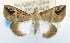  ( - USNM ENT 00739396)  @14 [ ] Unspecified (default): All Rights Reserved  Unspecified Unspecified