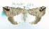  ( - USNM ENT 00739399)  @14 [ ] Unspecified (default): All Rights Reserved  Unspecified Unspecified