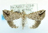  ( - USNM ENT 00739402)  @14 [ ] Unspecified (default): All Rights Reserved  Unspecified Unspecified
