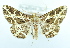  ( - USNM ENT 00739415)  @13 [ ] Unspecified (default): All Rights Reserved  Unspecified Unspecified