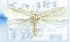  ( - USNM ENT 00739968)  @12 [ ] Unspecified (default): All Rights Reserved  Unspecified Unspecified