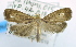  ( - USNM ENT 00792951)  @12 [ ] Unspecified (default): All Rights Reserved  Unspecified Unspecified
