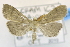  ( - USNM ENT 00795058)  @14 [ ] Unspecified (default): All Rights Reserved  Unspecified Unspecified