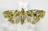  ( - USNM ENT 00795366)  @12 [ ] Unspecified (default): All Rights Reserved  Unspecified Unspecified