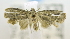  ( - USNM ENT 00795469)  @12 [ ] Unspecified (default): All Rights Reserved  Unspecified Unspecified