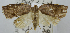  ( - USNM ENT 00795787)  @13 [ ] Unspecified (default): All Rights Reserved  Unspecified Unspecified