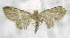  ( - USNM ENT 00795839)  @12 [ ] Unspecified (default): All Rights Reserved  Unspecified Unspecified