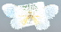  ( - USNM ENT 00795898)  @12 [ ] Unspecified (default): All Rights Reserved  Unspecified Unspecified