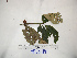  ( - YAWPLANTCR188)  @11 [ ] CreativeCommons - Attribution Non-Commercial Share-Alike (2016) C. Redmond Czech Academy of Sciences