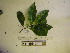  ( - YAWPLANTCR268)  @11 [ ] CreativeCommons - Attribution Non-Commercial Share-Alike (2016) C. Redmond Czech Academy of Sciences