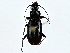  ( - BIOUG91310-B05)  @11 [ ] CreativeCommons - Attribution (2022) CBG Photography Group Centre for Biodiversity Genomics