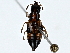  ( - BIOUG91369-E09)  @11 [ ] CreativeCommons - Attribution (2022) CBG Photography Group Centre for Biodiversity Genomics