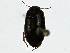  ( - BIOUG91369-F02)  @11 [ ] CreativeCommons - Attribution (2022) CBG Photography Group Centre for Biodiversity Genomics