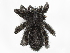  ( - CBG-A08777-H11)  @11 [ ] CreativeCommons - Attribution Share - Alike (2023) CBG Photography Group Centre for Biodiversity Genomics