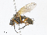  ( - CBG-A08779-C09)  @11 [ ] CreativeCommons - Attribution Share - Alike (2023) CBG Photography Group Centre for Biodiversity Genomics