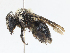  ( - CBG-A08779-G01)  @11 [ ] CreativeCommons - Attribution Share - Alike (2023) CBG Photography Group Centre for Biodiversity Genomics