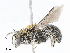  ( - CBG-A08779-H02)  @11 [ ] CreativeCommons - Attribution Share - Alike (2023) CBG Photography Group Centre for Biodiversity Genomics