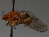  ( - BIOUG56880-F12)  @11 [ ] CreativeCommons - Attribution (2021) CBG Photography Group Centre for Biodiversity Genomics