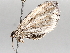  ( - BIOUG56883-G05)  @11 [ ] CreativeCommons - Attribution (2021) CBG Photography Group Centre for Biodiversity Genomics
