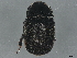  ( - BIOUG66004-G05)  @11 [ ] CreativeCommons - Attribution (2022) CBG Photography Group Centre for Biodiversity Genomics