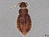  ( - BIOUG73603-F09)  @11 [ ] CreativeCommons - Attribution (2022) CBG Photography Group Centre for Biodiversity Genomics