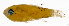  ( - L684-003)  @11 [ ] CreativeCommons Attribution ShareAlike (2024) Institut de Recherche pour le Développement Institut de Recherche pour le Développement