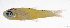  ( - L524-042)  @11 [ ] CreativeCommons Attribution ShareAlike (2024) Institut de Recherche pour le Développement Institut de Recherche pour le Développement