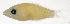  ( - L748-006)  @11 [ ] CreativeCommons Attribution ShareAlike (2024) Institut de Recherche pour le Développement Institut de Recherche pour le Développement