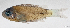  ( - L524-014)  @11 [ ] CreativeCommons Attribution ShareAlike (2024) Institut de Recherche pour le Développement Institut de Recherche pour le Développement