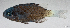  ( - L538-007)  @11 [ ] CreativeCommons Attribution ShareAlike (2024) Institut de Recherche pour le Développement Institut de Recherche pour le Développement