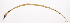  ( - L536-007)  @11 [ ] CreativeCommons Attribution ShareAlike (2024) Institut de Recherche pour le Développement Institut de Recherche pour le Développement