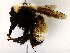  ( - BIOUG73657-B08)  @11 [ ] CreativeCommons - Attribution (2021) CBG Photography Group Centre for Biodiversity Genomics
