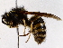  ( - BIOUG73658-B01)  @11 [ ] CreativeCommons - Attribution (2022) CBG Photography Group Centre for Biodiversity Genomics