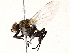 ( - BIOUG73658-C04)  @11 [ ] CreativeCommons - Attribution (2022) CBG Photography Group Centre for Biodiversity Genomics