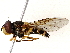  ( - BIOUG73659-A07)  @11 [ ] CreativeCommons - Attribution (2022) CBG Photography Group Centre for Biodiversity Genomics