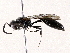  ( - BIOUG73660-F07)  @11 [ ] CreativeCommons - Attribution (2022) CBG Photography Group Centre for Biodiversity Genomics
