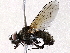  ( - BIOUG73660-G02)  @11 [ ] CreativeCommons - Attribution (2022) CBG Photography Group Centre for Biodiversity Genomics