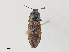  ( - CBG-A30018-A07)  @11 [ ] CreativeCommons - Attribution Share - Alike (2024) CBG Photography Group Centre for Biodiversity Genomics