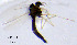  ( - GZCH34)  @11 [ ] CreativeCommons  Attribution Non-Commercial Share-Alike (2019) Haijun Yu Tianjin Agriculture University