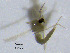  ( - GZCH37)  @11 [ ] CreativeCommons  Attribution Non-Commercial Share-Alike (2019) Haijun Yu Tianjin Agriculture University