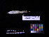 ( - 1996-0159)  @12 [ ] Copyright (2013) Takema  Saitoh Yamashina Institute for Ornithology