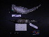  ( - 2001-0121)  @12 [ ] Copyright (2013) Takema  Saitoh Yamashina Institute for Ornithology