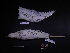  ( - 1999-0113)  @11 [ ] Copyright (2015) Takema  Saitoh Yamashina Institute for Ornithology