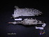  ( - 2002-0272)  @11 [ ] Copyright (2015) Takema  Saitoh Yamashina Institute for Ornithology